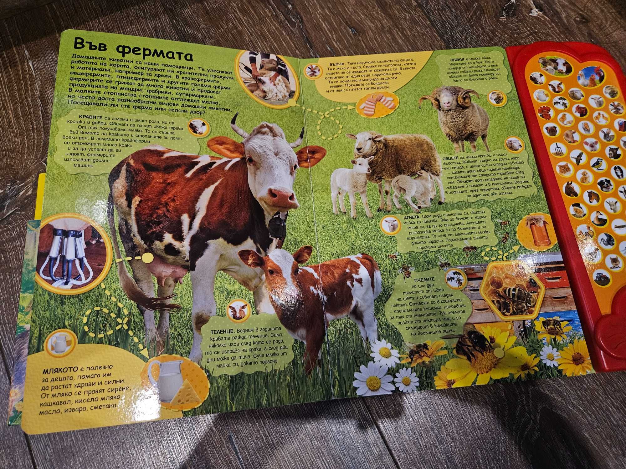 Музикални книжки за диви животни и животните във фермата