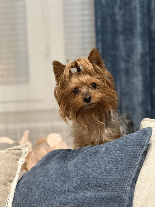 Момченце на 50 дни с ваксина и паспорт