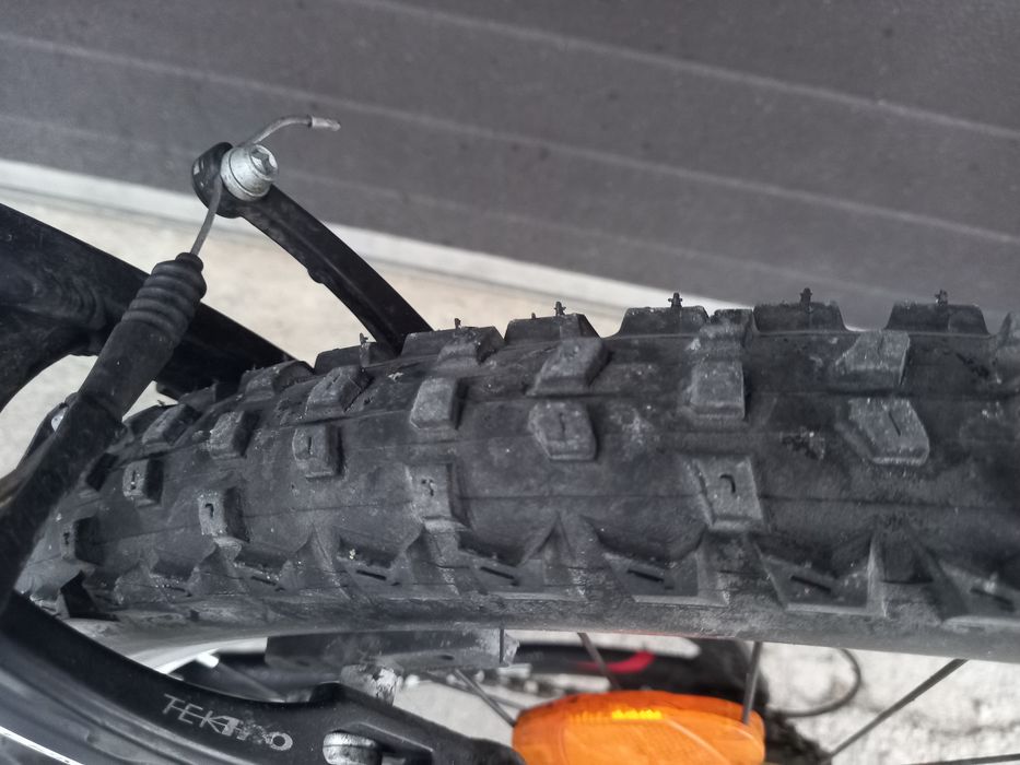 Mtb Focus Rookie Raven