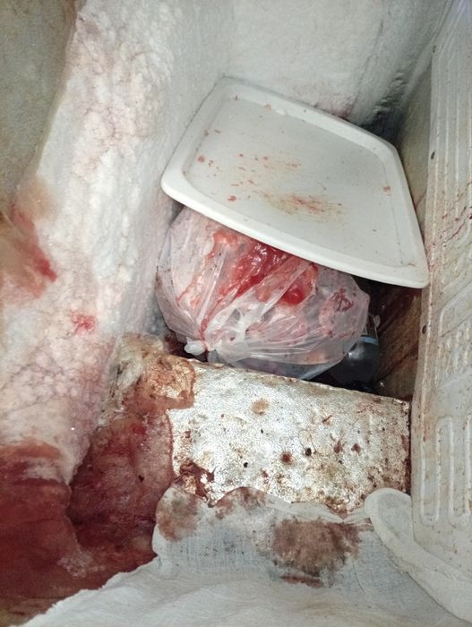 Ishlatib beramiz zoʻr