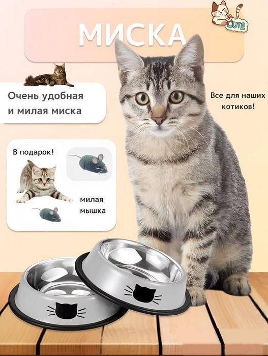 Графический дизайн