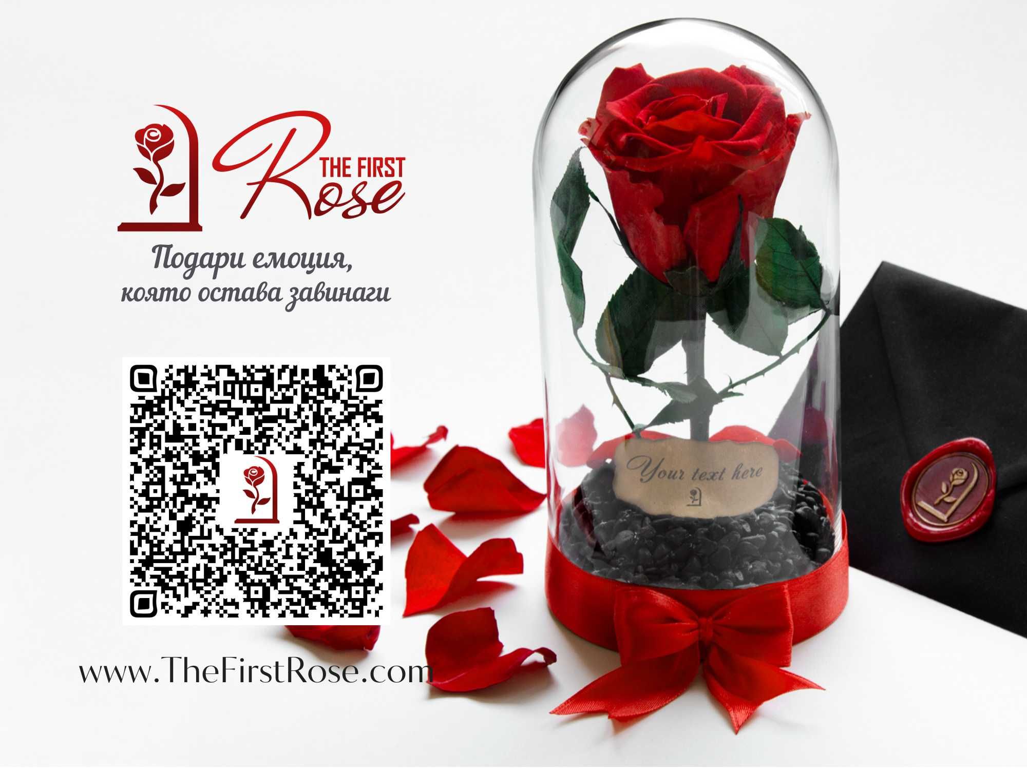 Естествена Вечна Роза в Стъкленица / Луксозен Подарък за Жена