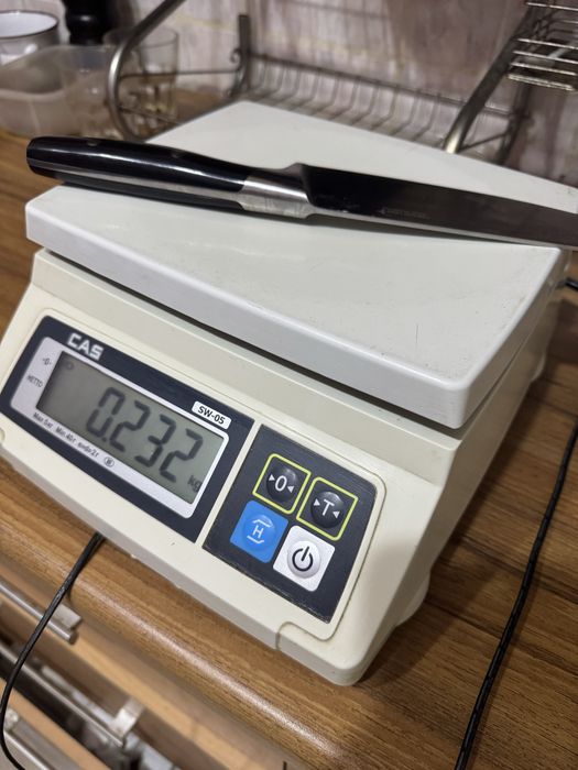 Весы электронные порционные CAS SW-05