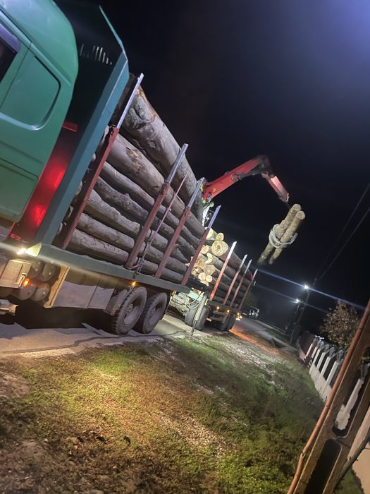 Lemne de foc fag, esenta tare!