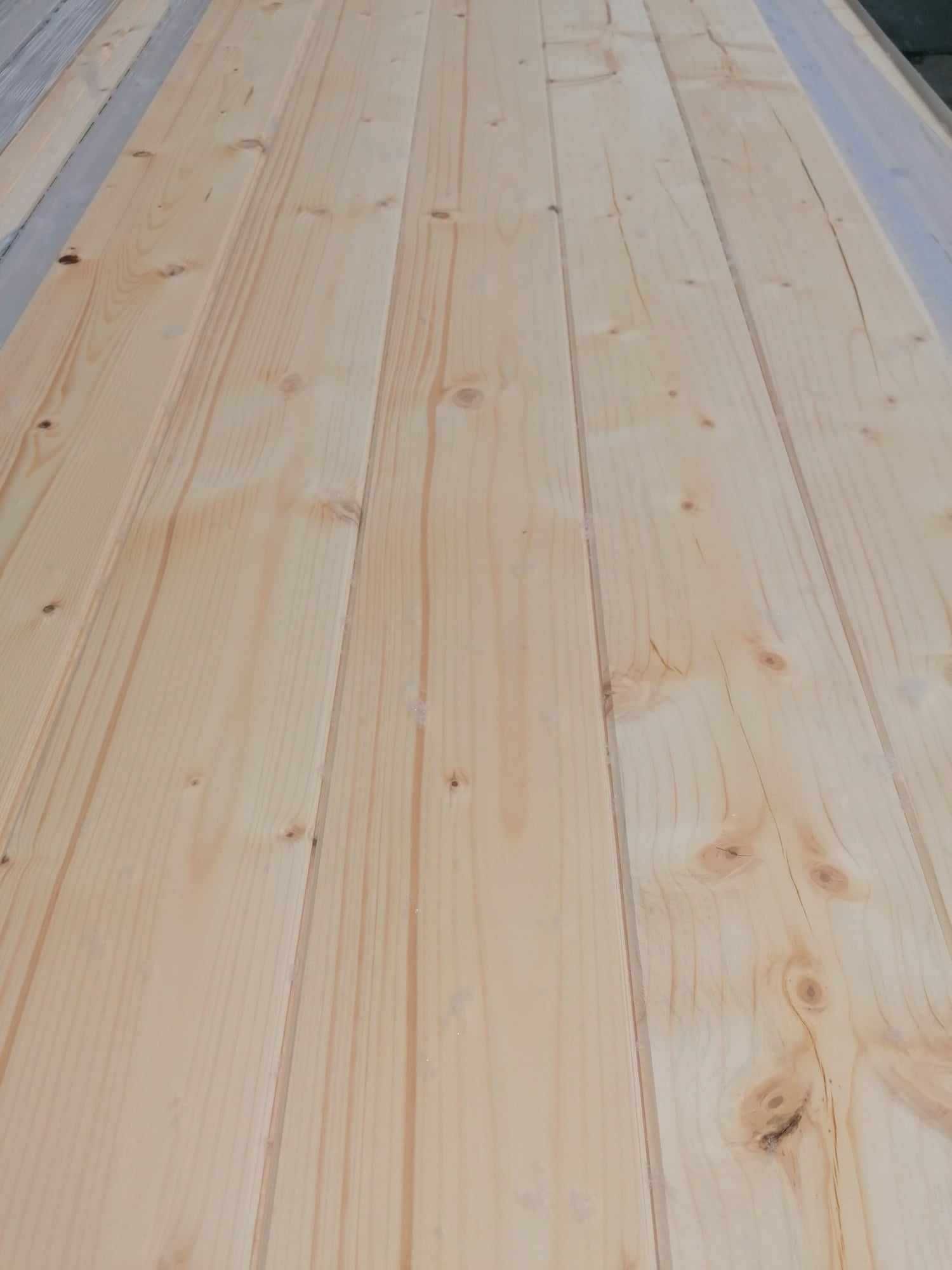 Dusumea molid 19x146