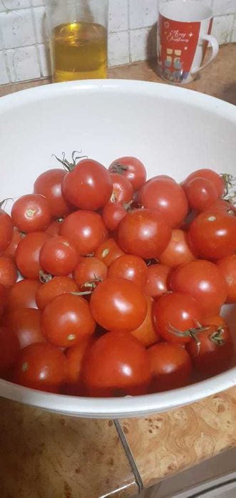 продам домашние помидоры