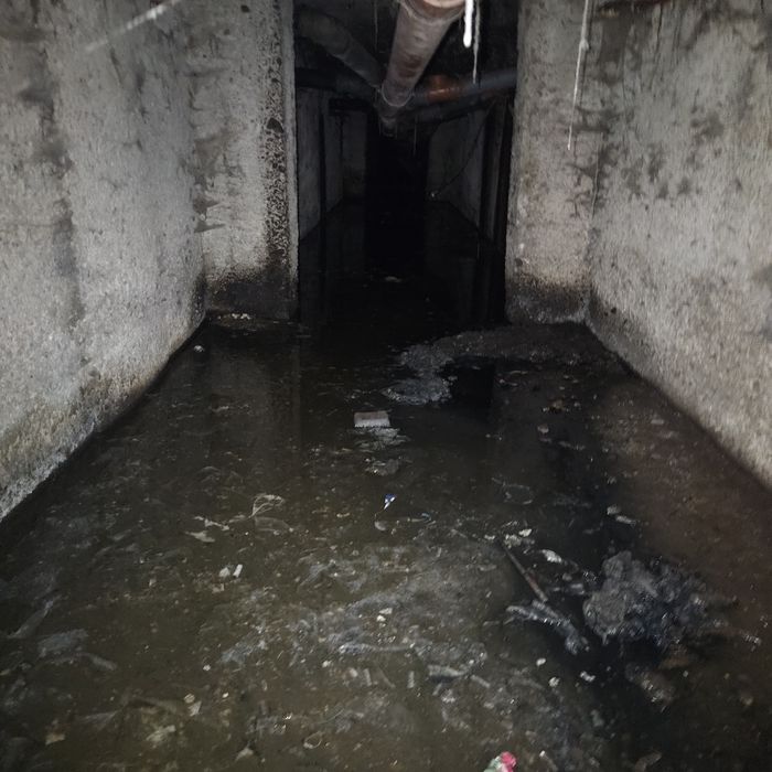 Servicii profesionale curățare subsol – Dejecții / Inundații / Mizerie