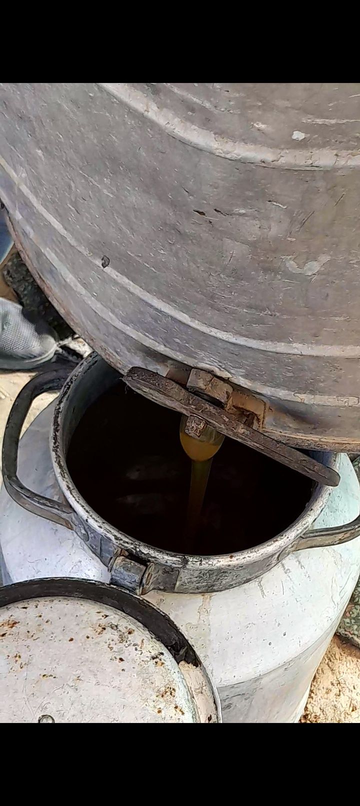 TOZA ASAL optom narxlarda