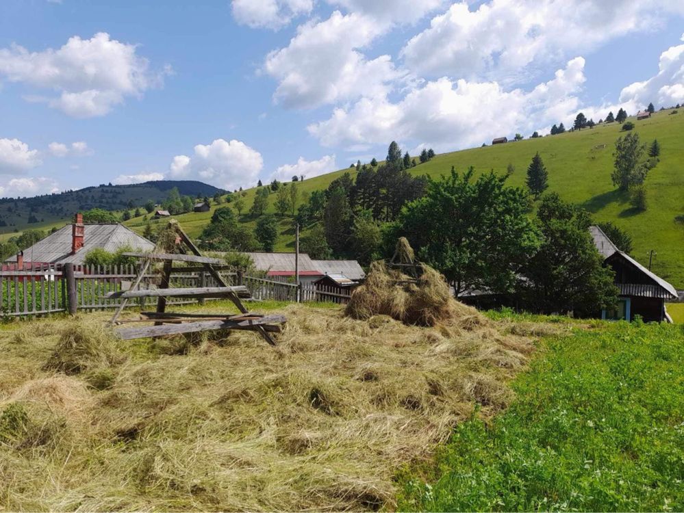 Baloti din fân zona Damuc Bicaz