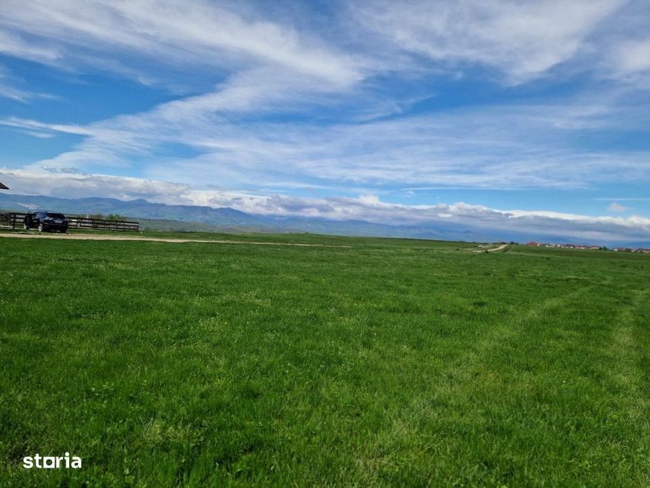 Vanzare teren extravilan 25.254 mp, situat in Preajba Mare