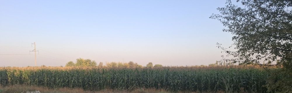 Mollar uchun silos