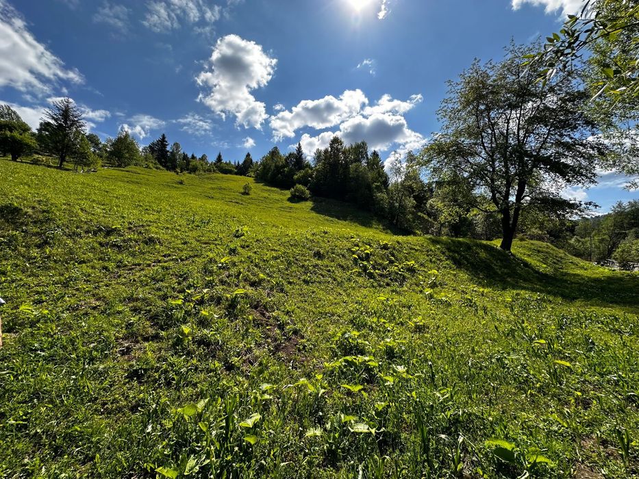 Teren intravilan -8€/m2-ideal casa vacanta la munte, investitii