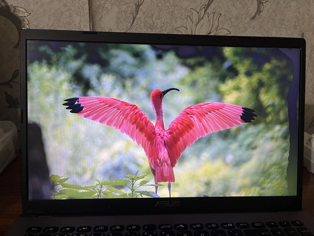 Ноутбук Asus.