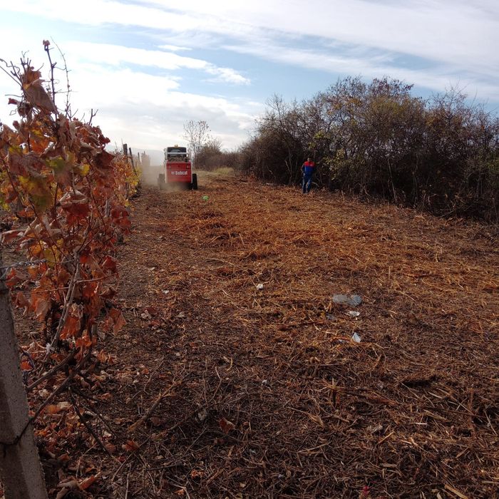 Bobcat senilat cu tocator vegetal - forestier