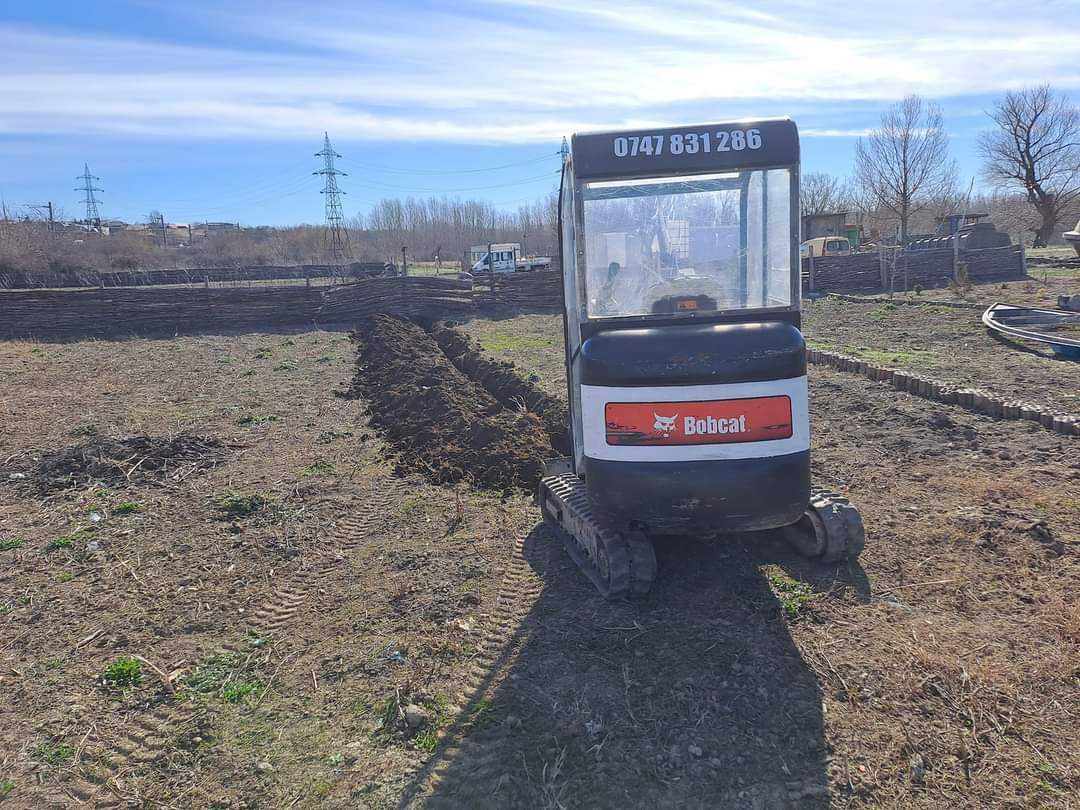 Miniexcavatoare de 1.6 T si 3.5 T de inchiriat