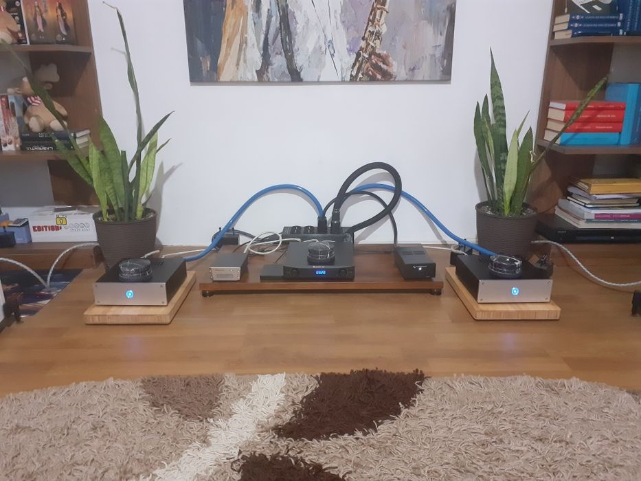 Vand amplificatoare clasa D