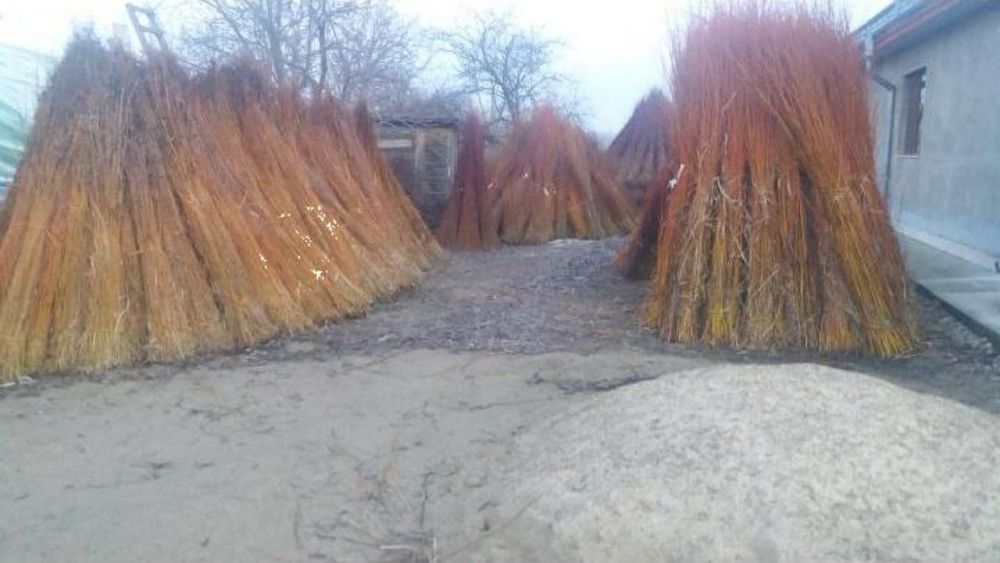Nuiele/mlaja din rachita (Willow Branches) Suraia