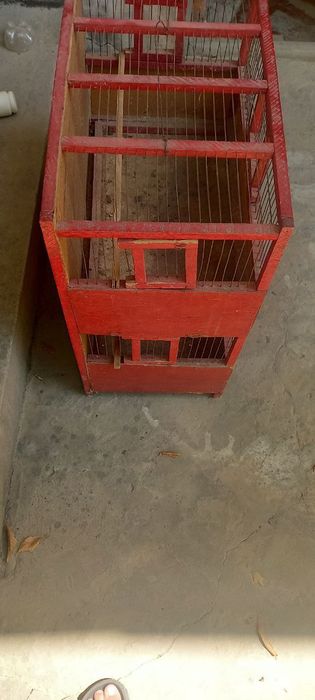 Кушлар учун кафас