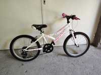 Bicicleta copii X Fact 20 inch