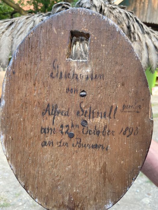 Bufniță împăiată din anul 1893