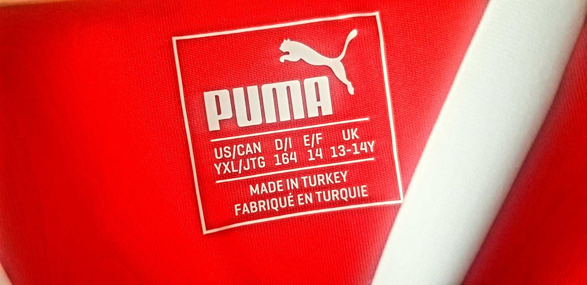 Echipamnet fotbal Puma Nationala Elvetiei 
Compus din tricou si short.