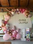 Photocorner Mot/ Petreceri etc