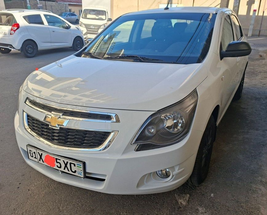 Cobalt Kobalt Midnight 2025