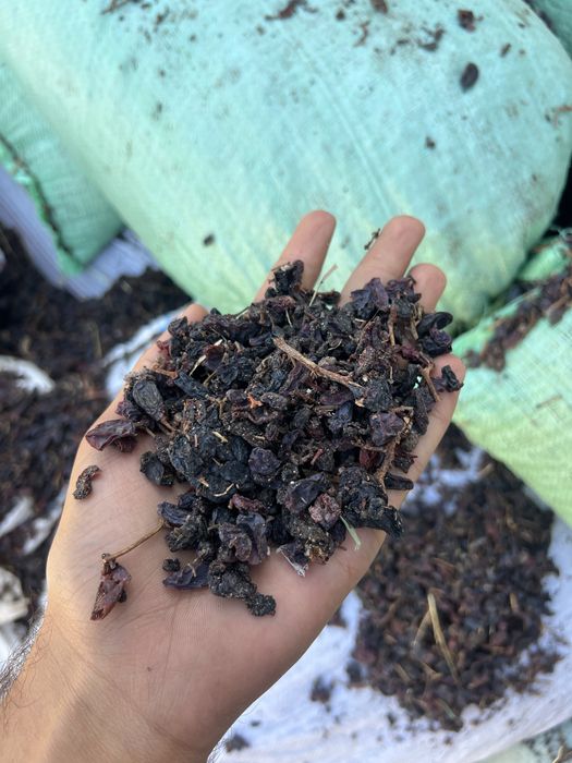 Yem qoy va mollar uchun yemish