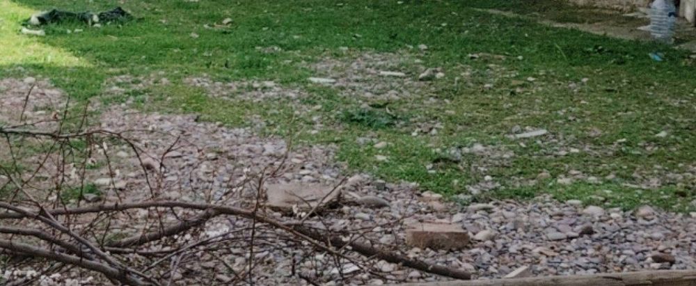 Продаётся земельный участок. Всё документы в порядке.