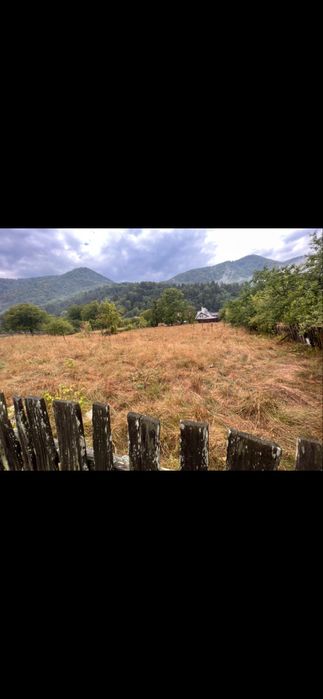 Închiriez teren centrul localitatii Hârja. Pe termen lung.