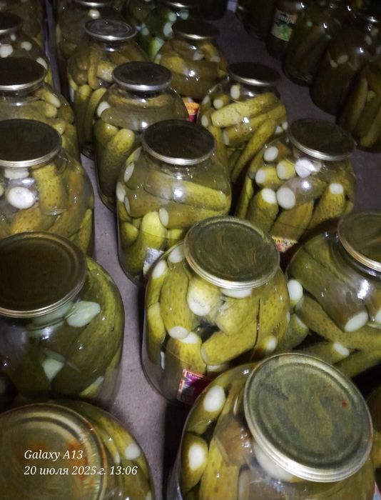 Огурцы соленые продам