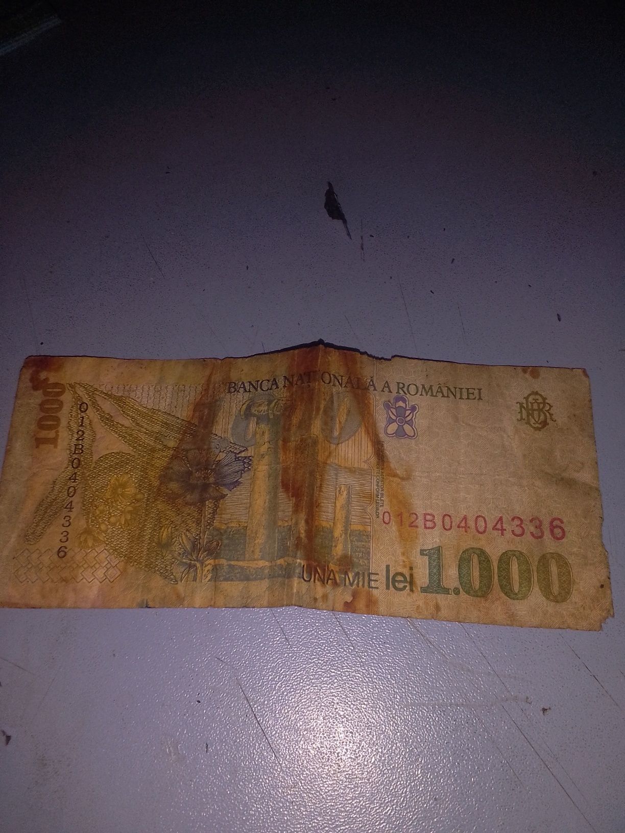 Bagnota de 1000 lei