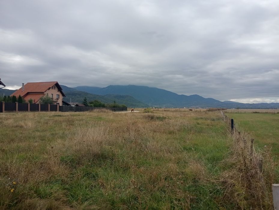 Teren intravilan de construcții case 800+900 metri la munte Glejerie R
