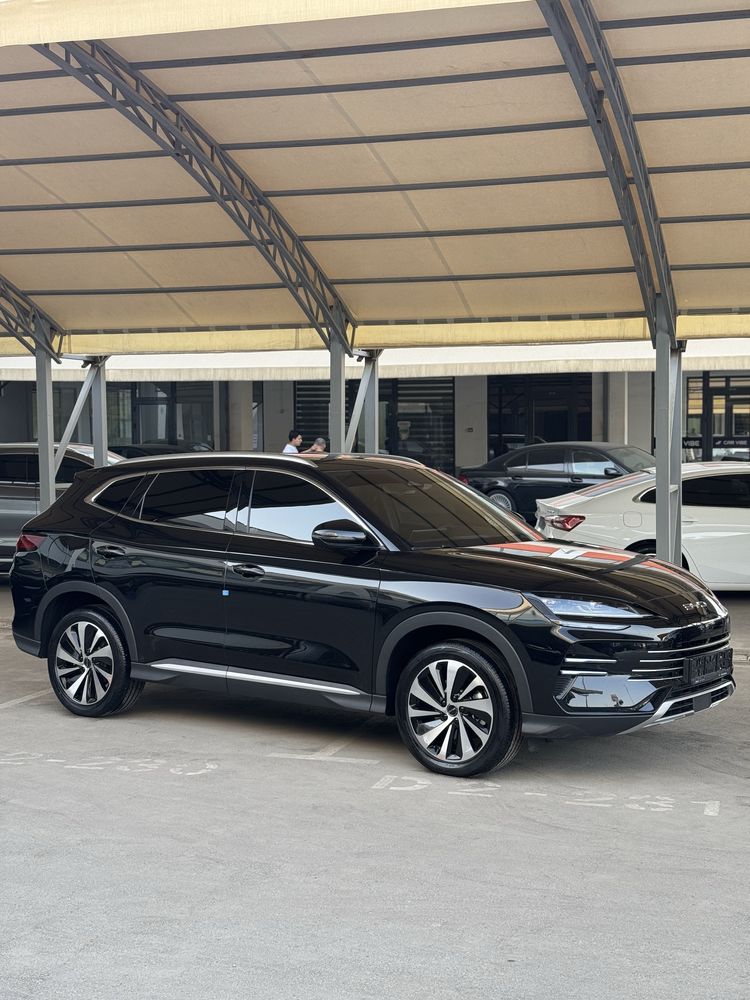 Byd champion hybrid 2025