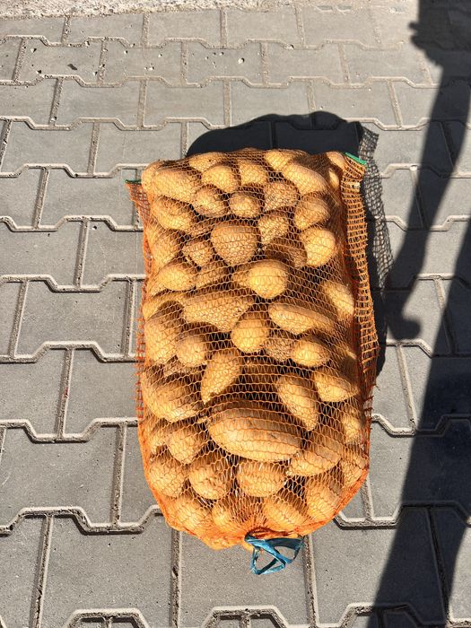 Vând cartofi consum , sãmânța și cartofi pentru animale , încantități