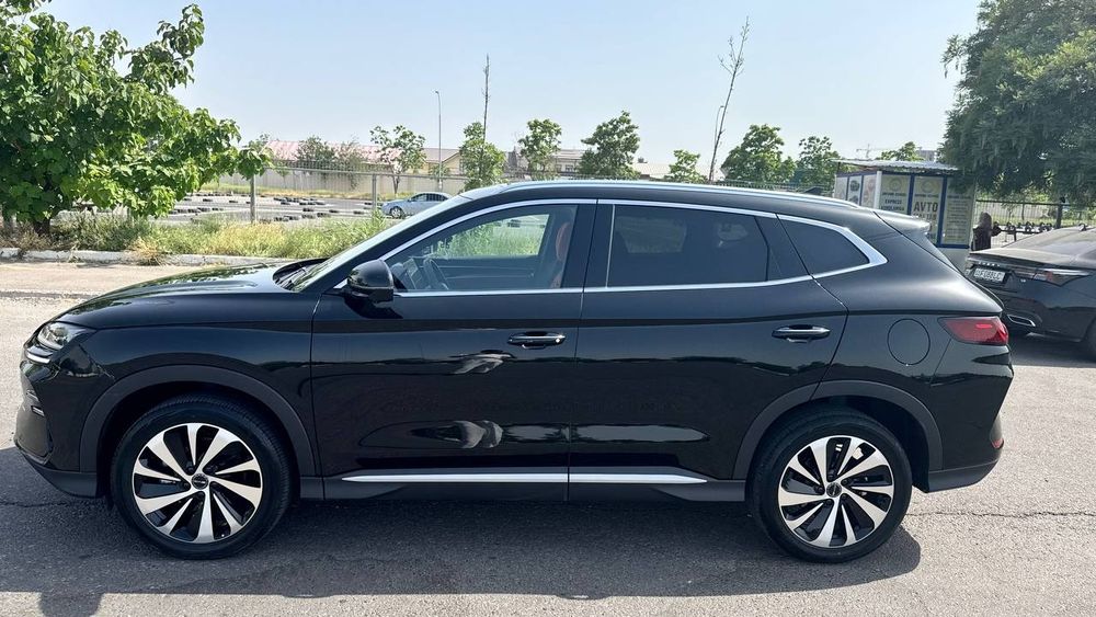 Продается чемпион Сонг Byd