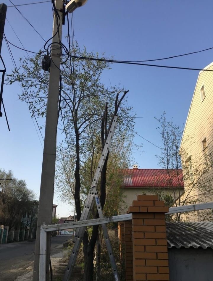 Обрезка деревьев в г. Атырау.