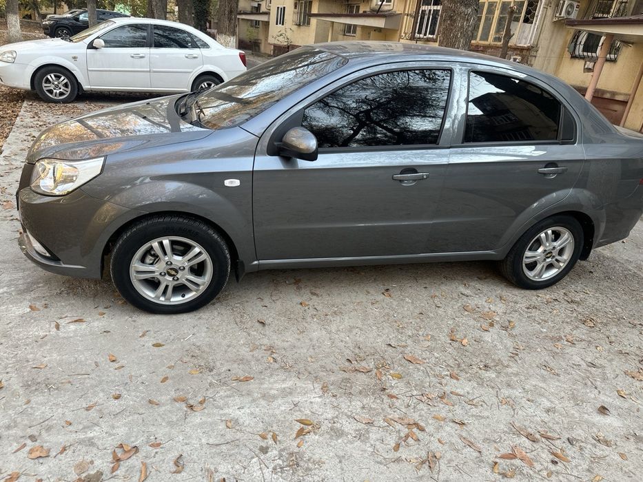 2022 yil kiraska tozza navorotlari kop gazi bor kiraska tozz