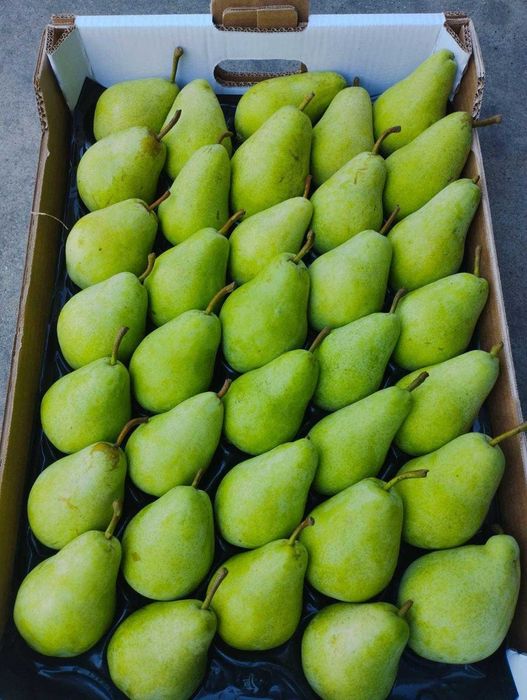 Pere frumoase și proaspete, diferite ambalaje și soiuri!