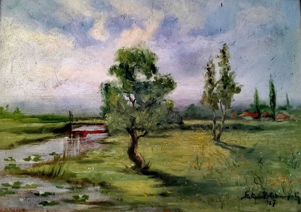 Tablou Pictura semnat Stelian Popescu Ghimpati - Peisaj