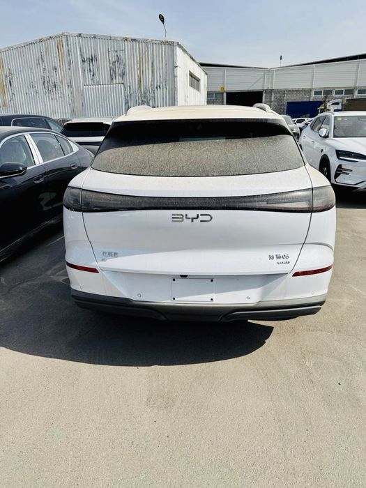 Byd Sea Lion 6 full pozitsia