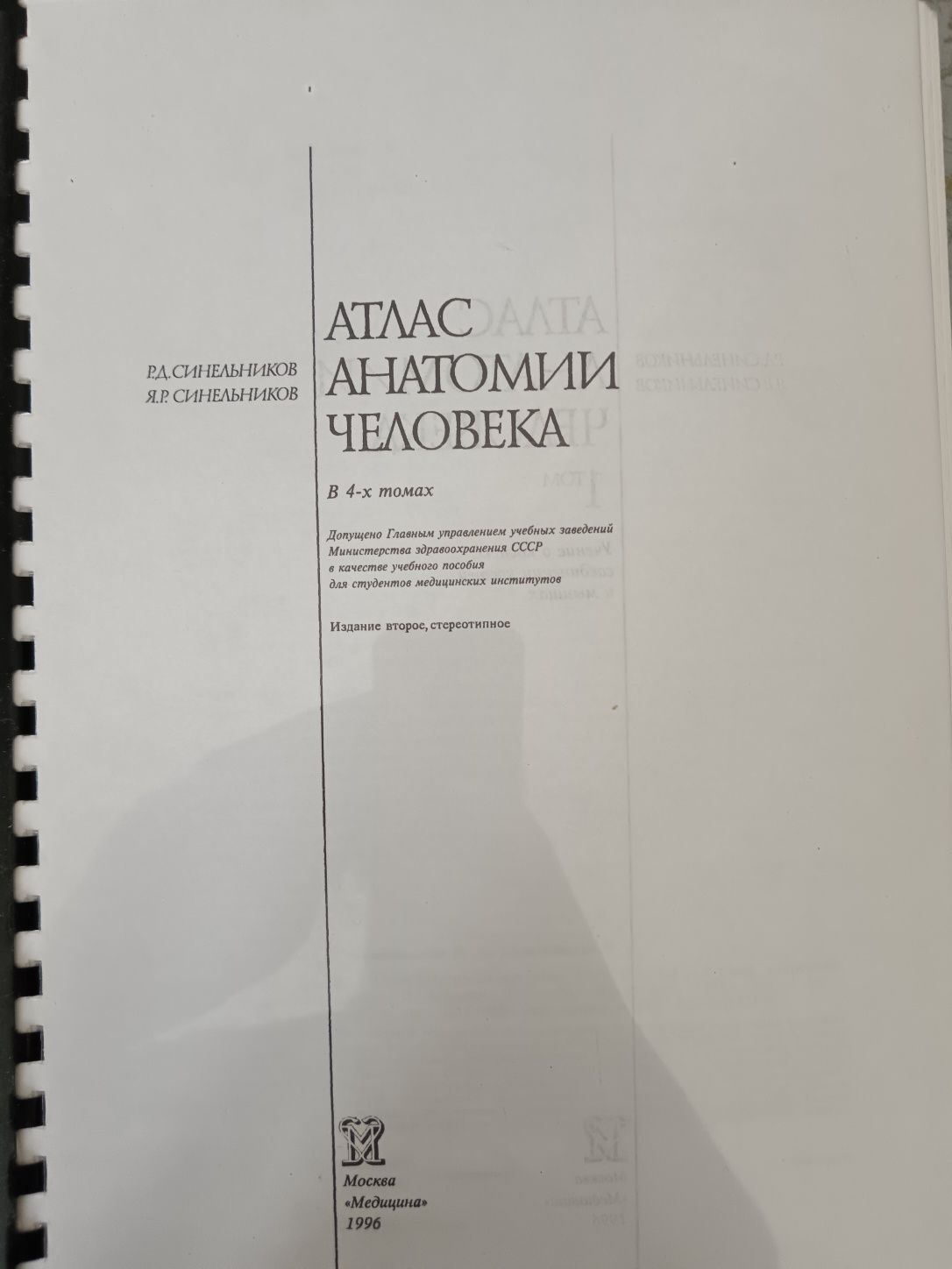 Атлас Анатомии Синельников