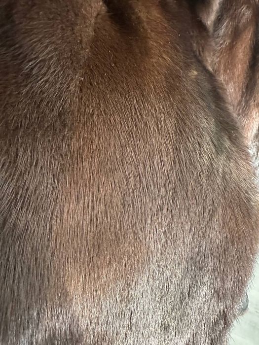 Шуба маде ин итали