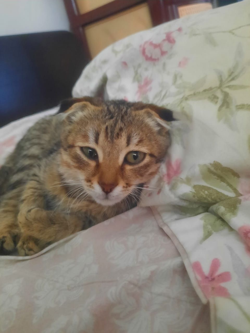 Продается срочно