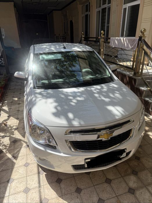 Cobalt style mcm 700 km yurgan