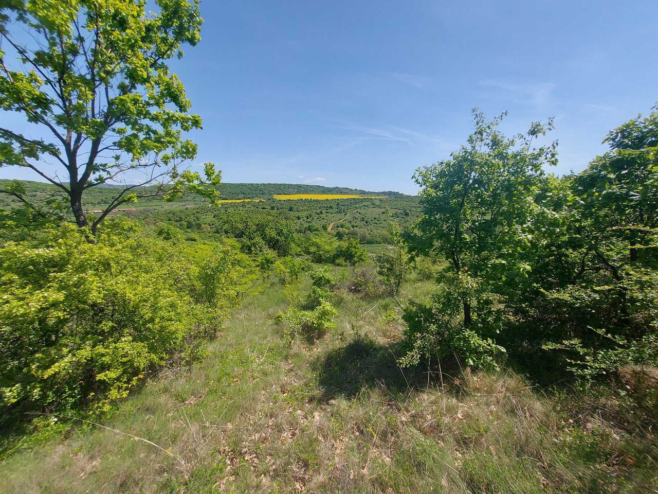 Продава се Парцел в с. Малка Верея, Област Стара Загора - 8537 кв.м за 8 €/кв.м - Снимка #4