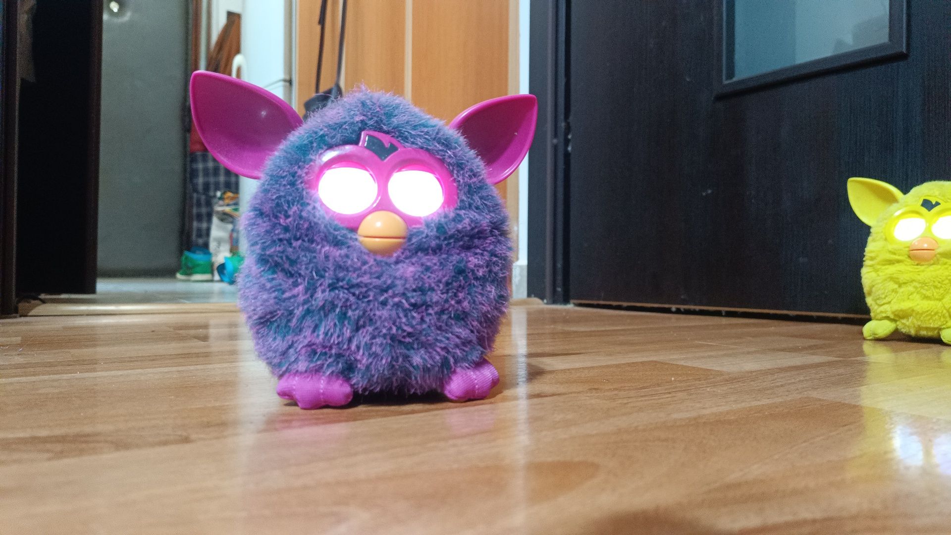 Lot de 5 furby la prețul de 1000 toate