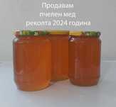 Продавам пчелен мед реколта 2024 година