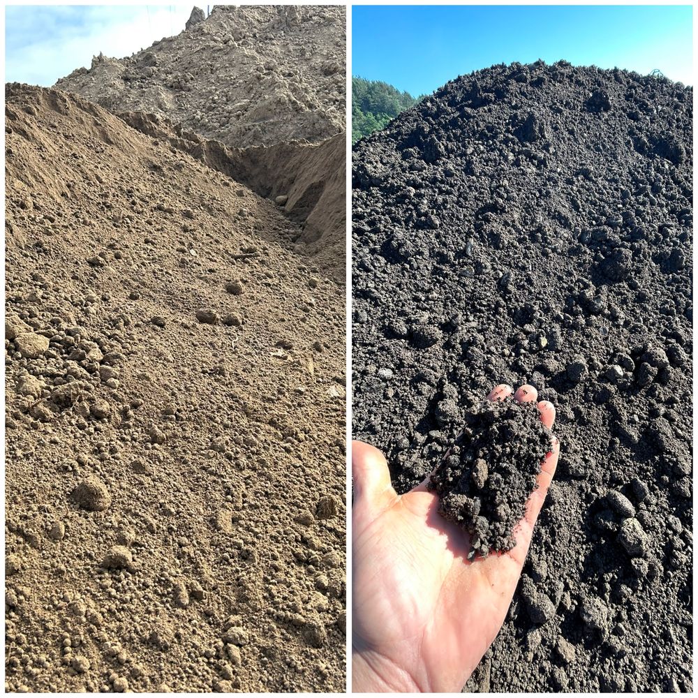 Pamant maroniu nisipos de gazon negru de gradina