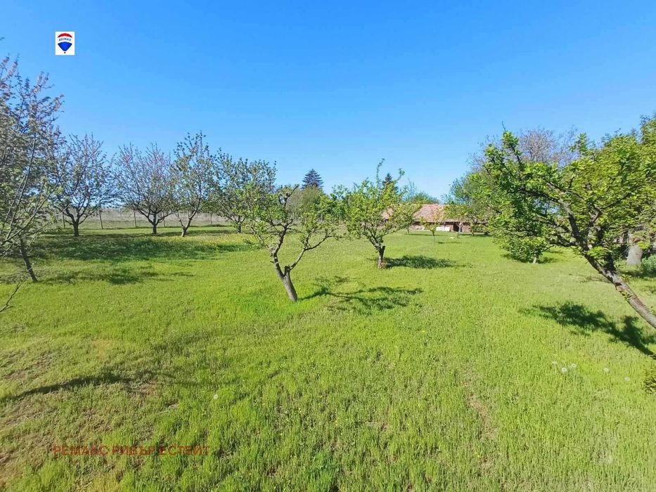 Продава се Парцел в с. Борисово, Област Русе - 2000 кв.м за 6 €/кв.м - Снимка #2